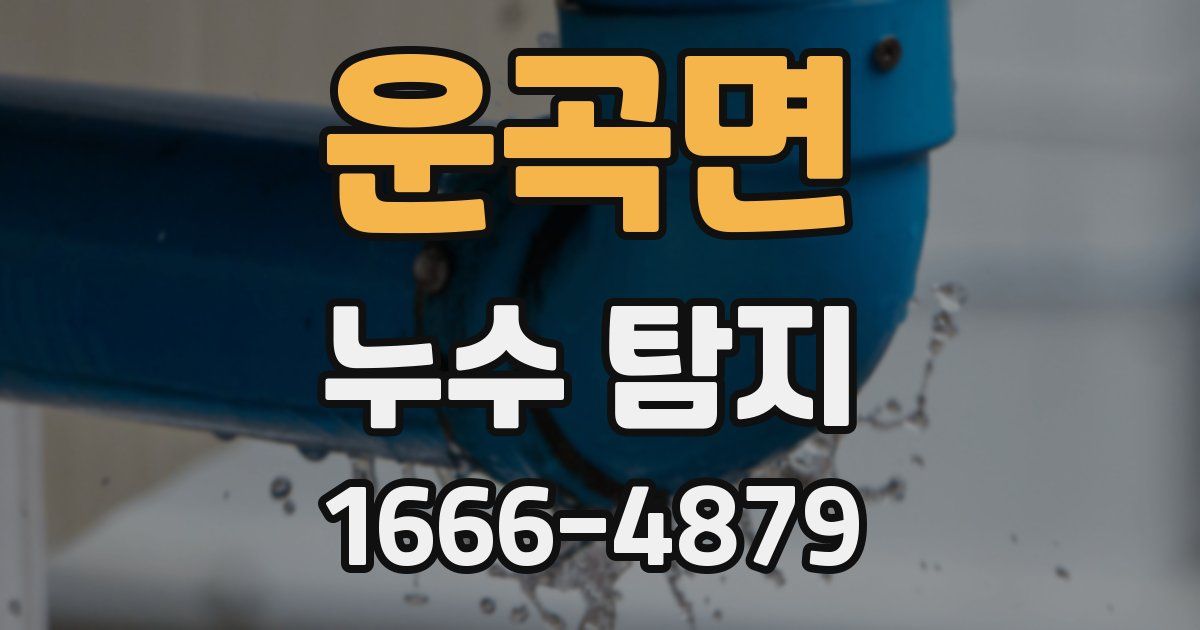 운곡면 누수 탐지