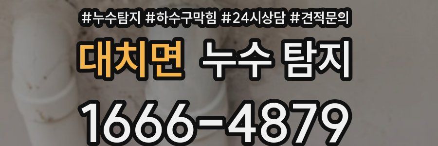 대치면 누수 탐지