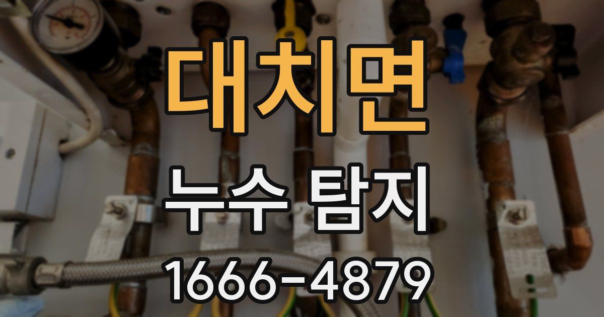 대치면 누수 탐지