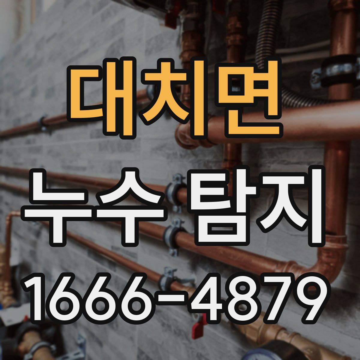 대치면 누수 탐지