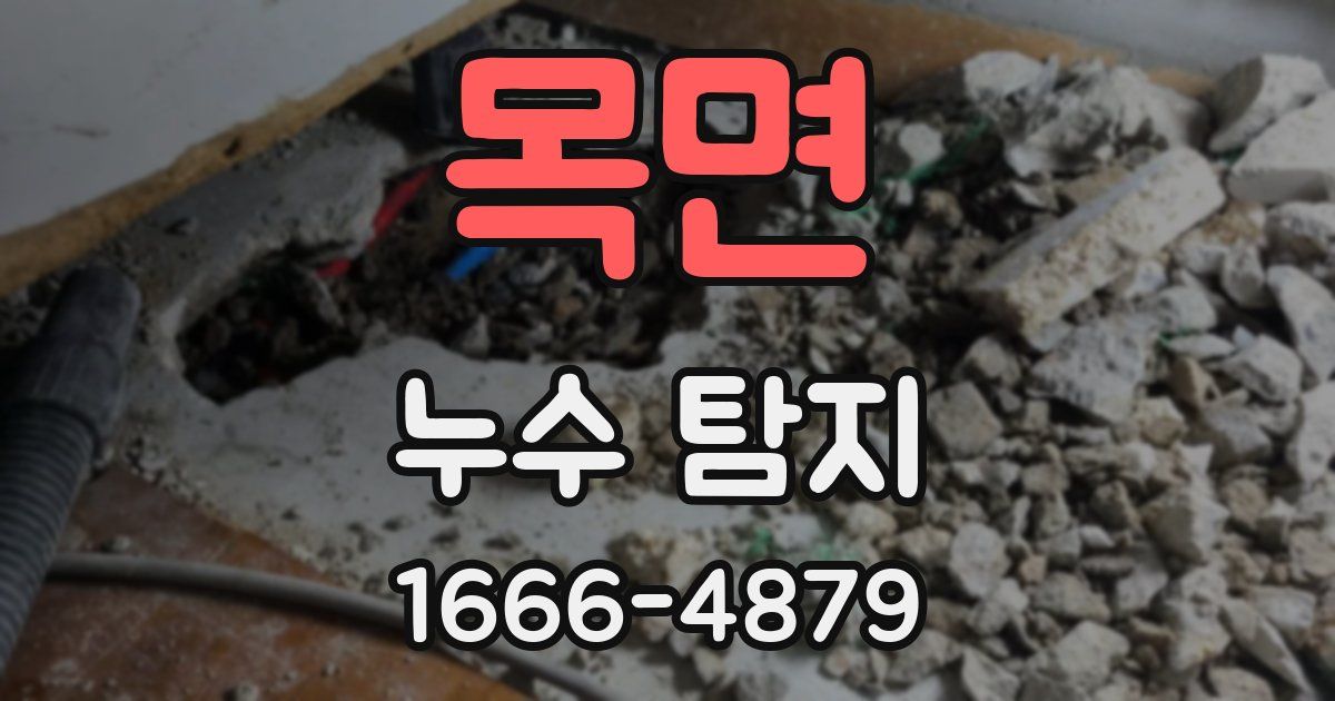 목면 누수 탐지