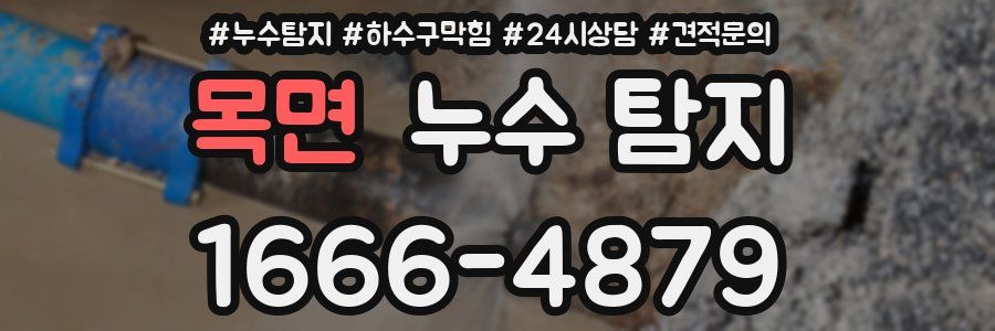 목면 누수 탐지