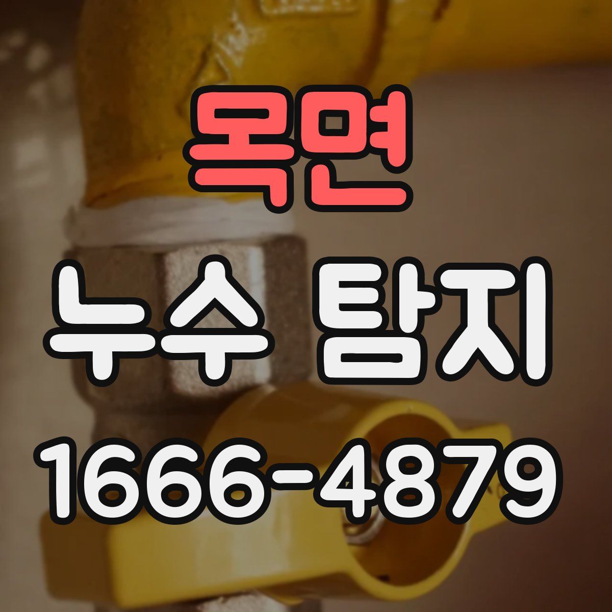 목면 누수 탐지