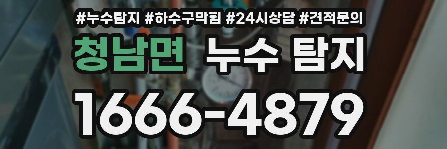 청남면 누수 탐지
