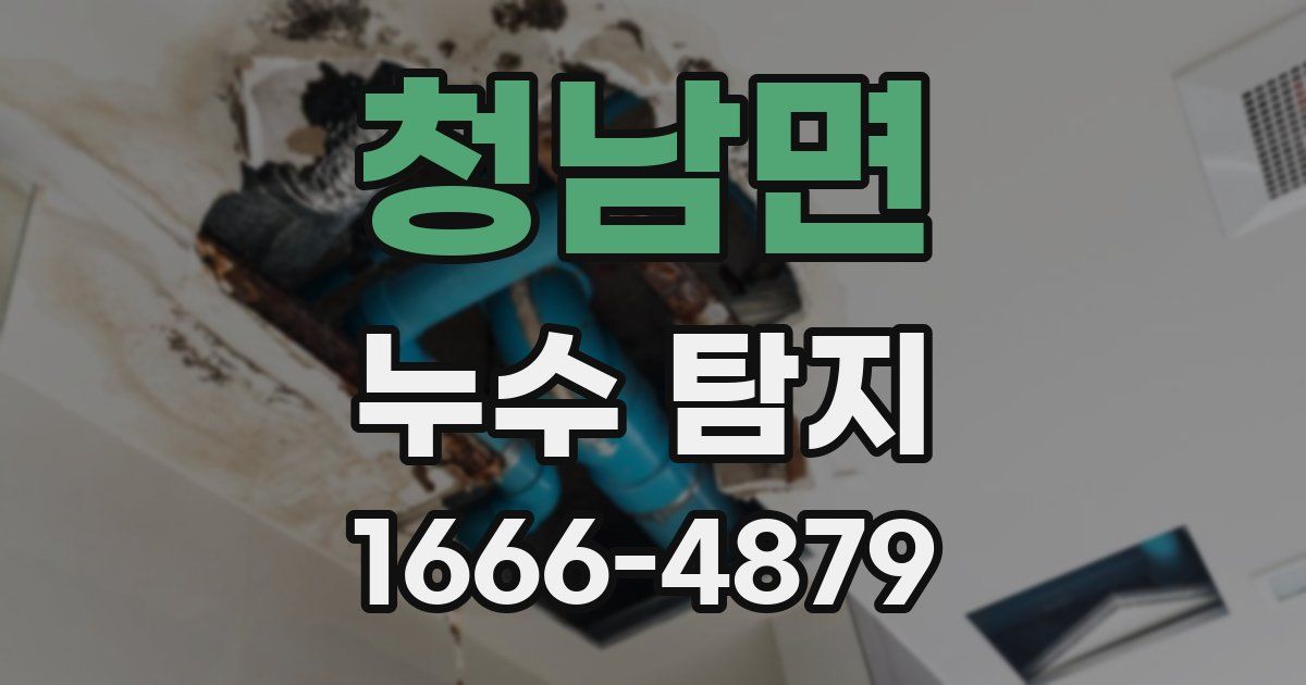 청남면 누수 탐지