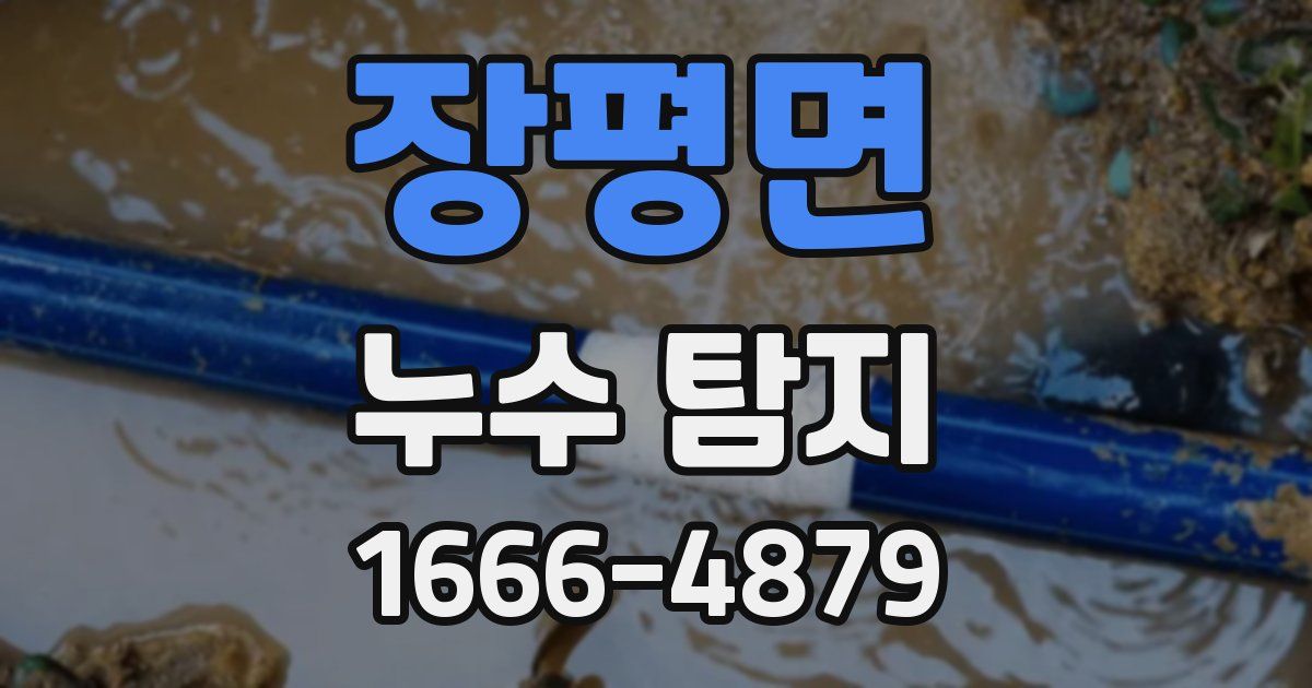 장평면 누수 탐지