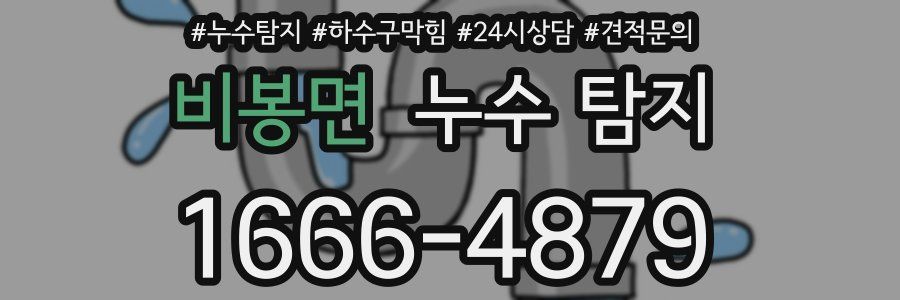비봉면 누수 탐지