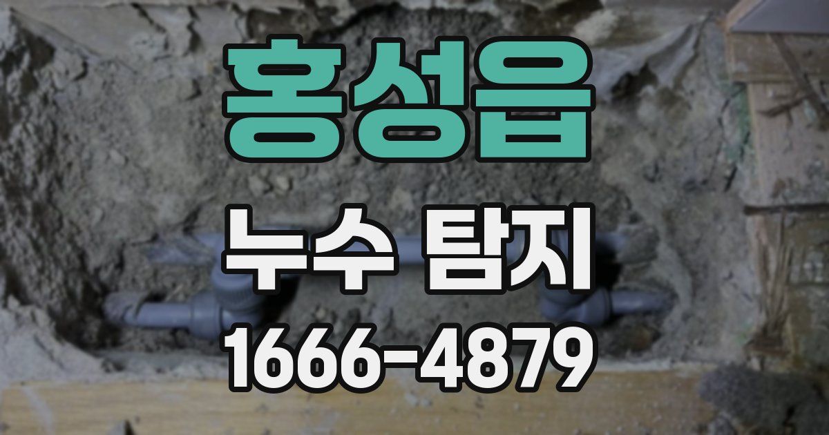홍성읍 누수 탐지