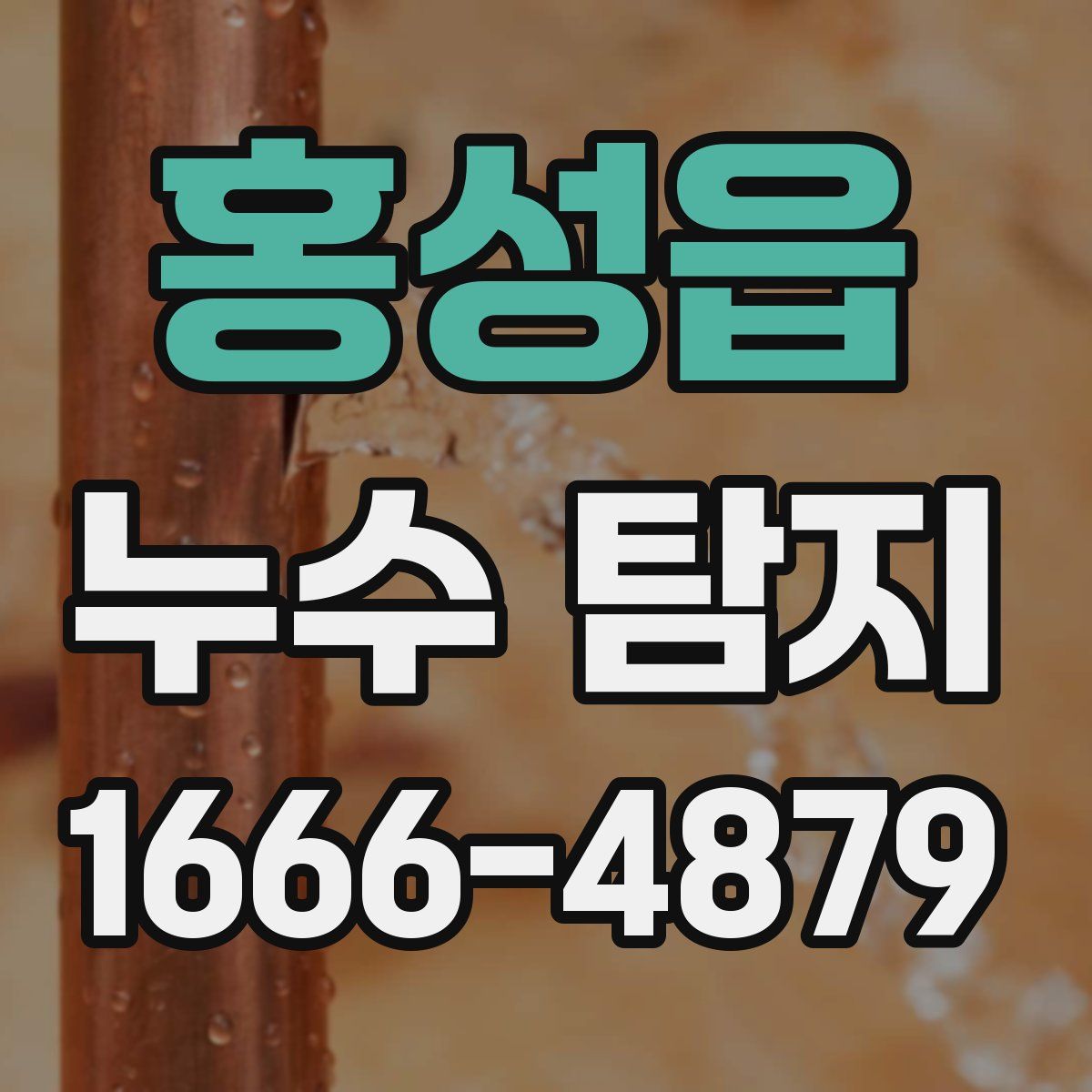 홍성읍 누수 탐지