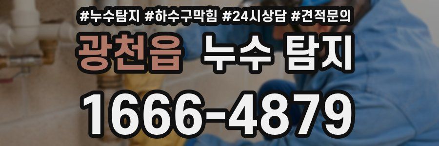 광천읍 누수 탐지