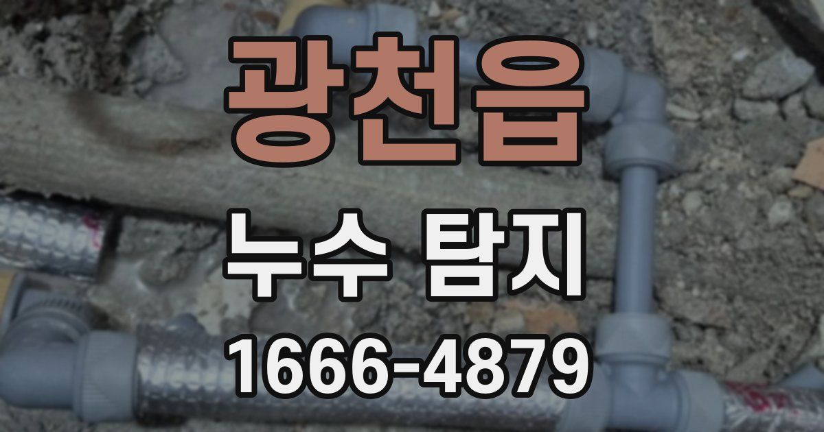 광천읍 누수 탐지