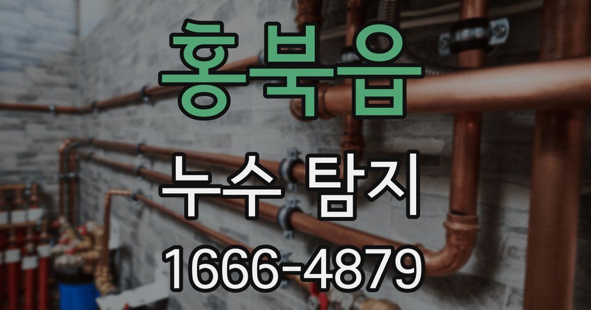 홍북읍 누수 탐지