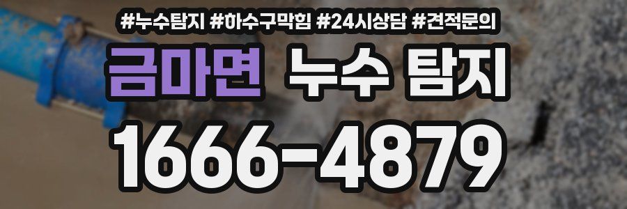 금마면 누수 탐지
