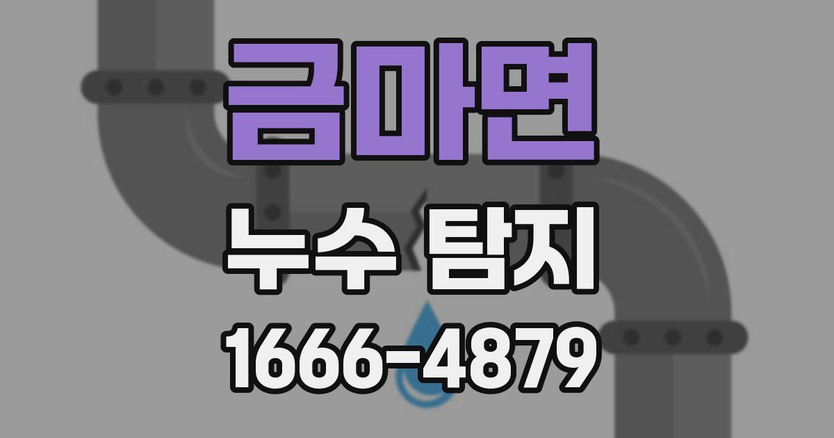 금마면 누수 탐지