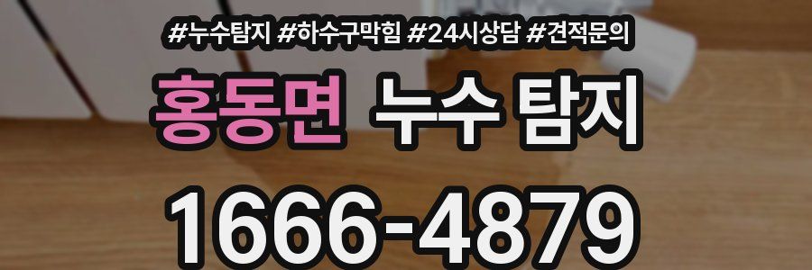 홍동면 누수 탐지