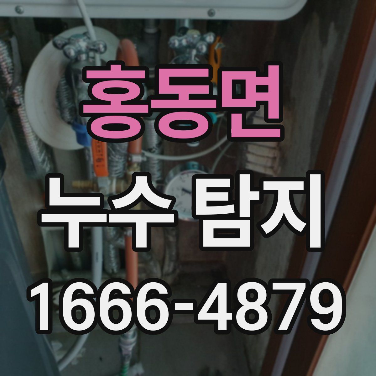 홍동면 누수 탐지