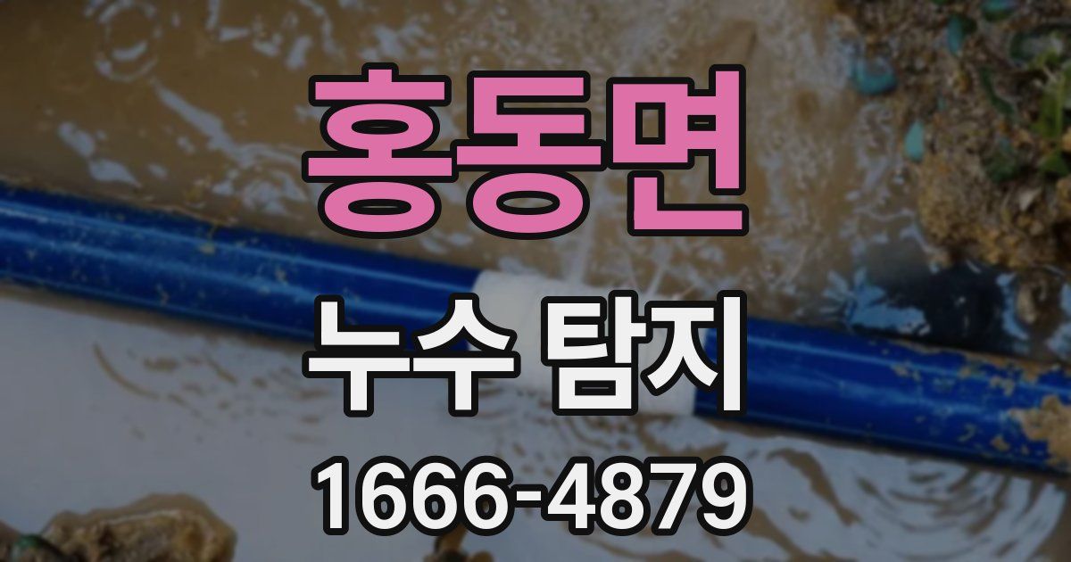 홍동면 누수 탐지