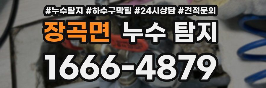장곡면 누수 탐지