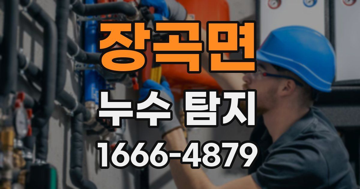 장곡면 누수 탐지