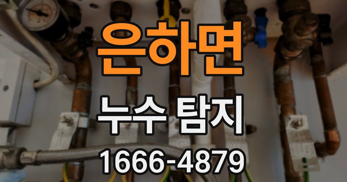 은하면 누수 탐지
