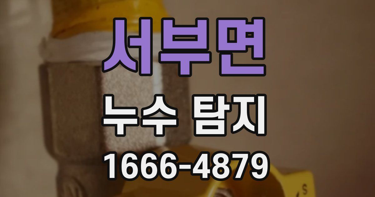 서부면 누수 탐지