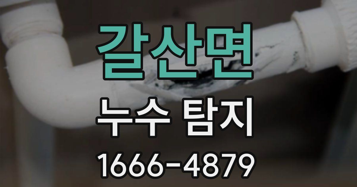 갈산면 누수 탐지