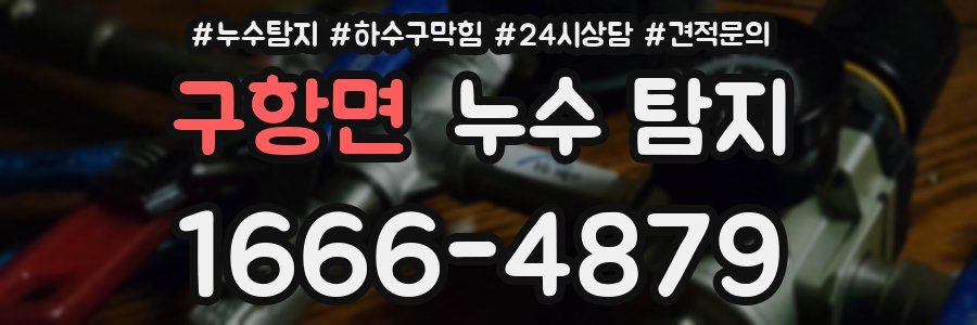 구항면 누수 탐지