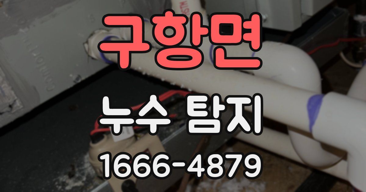 구항면 누수 탐지