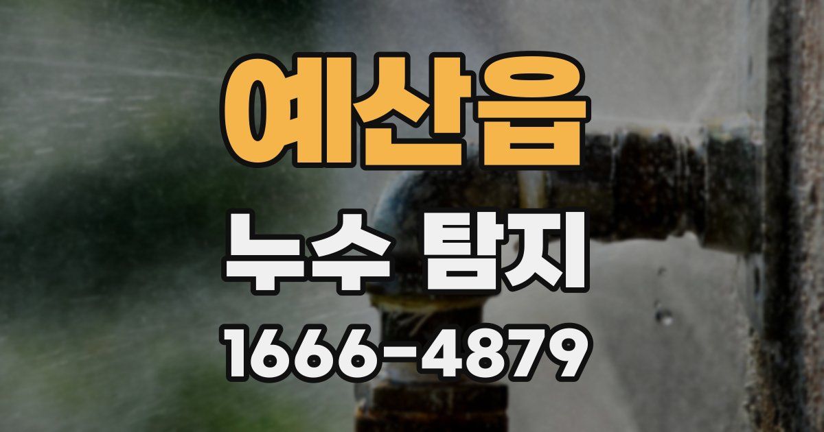 예산읍 누수 탐지