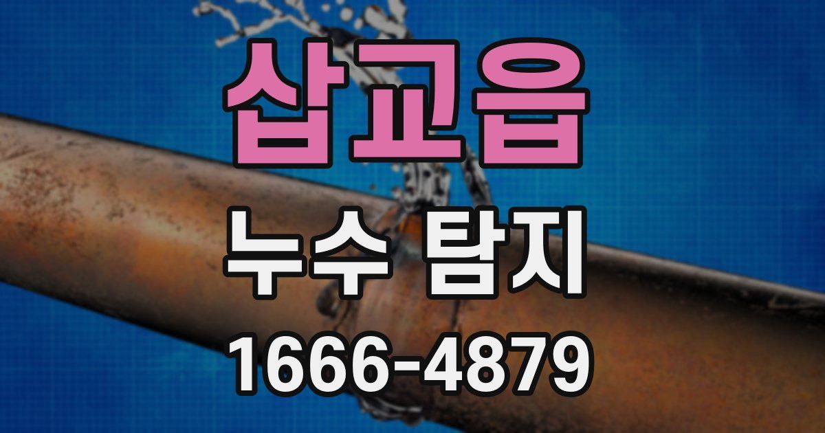 삽교읍 누수 탐지