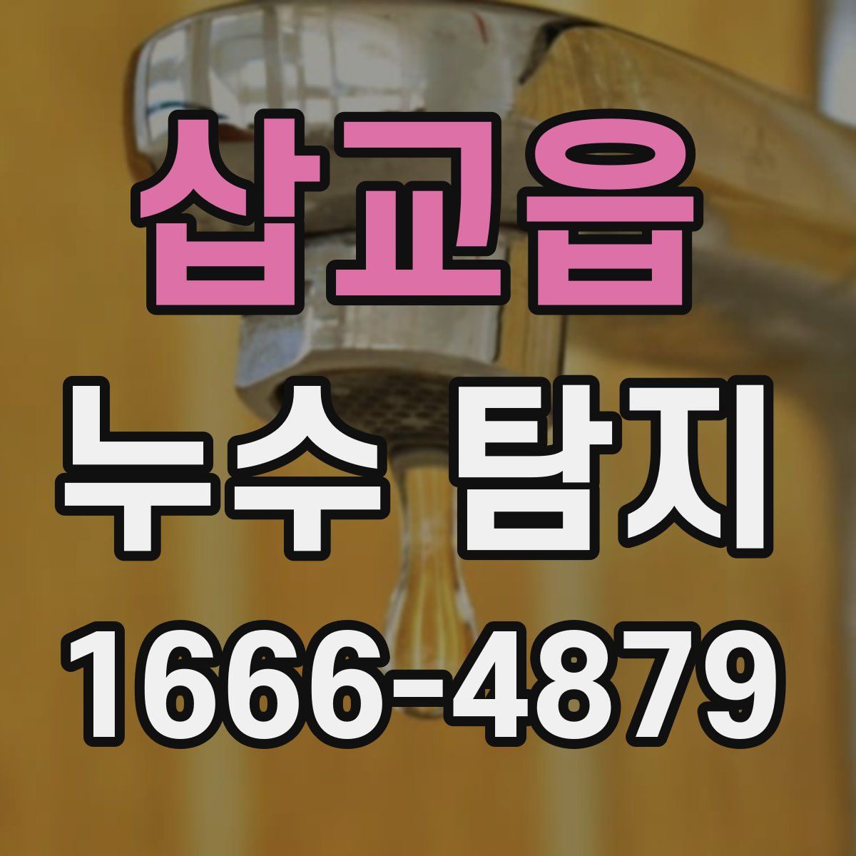 삽교읍 누수 탐지