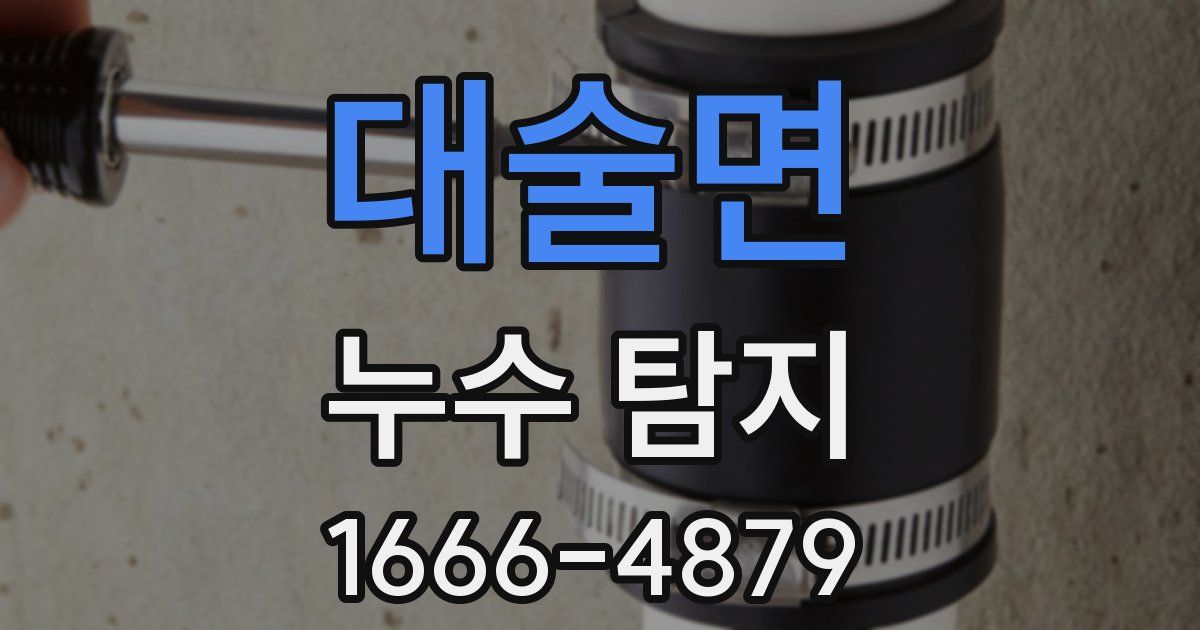 대술면 누수 탐지