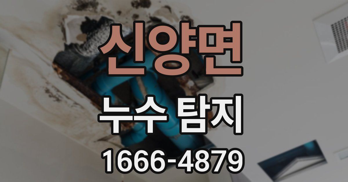 신양면 누수 탐지