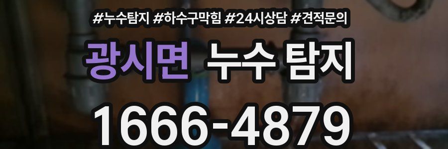 광시면 누수 탐지