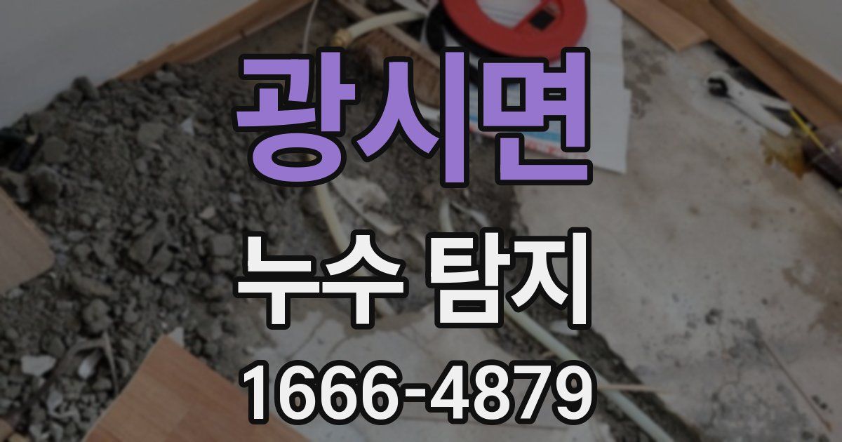 광시면 누수 탐지