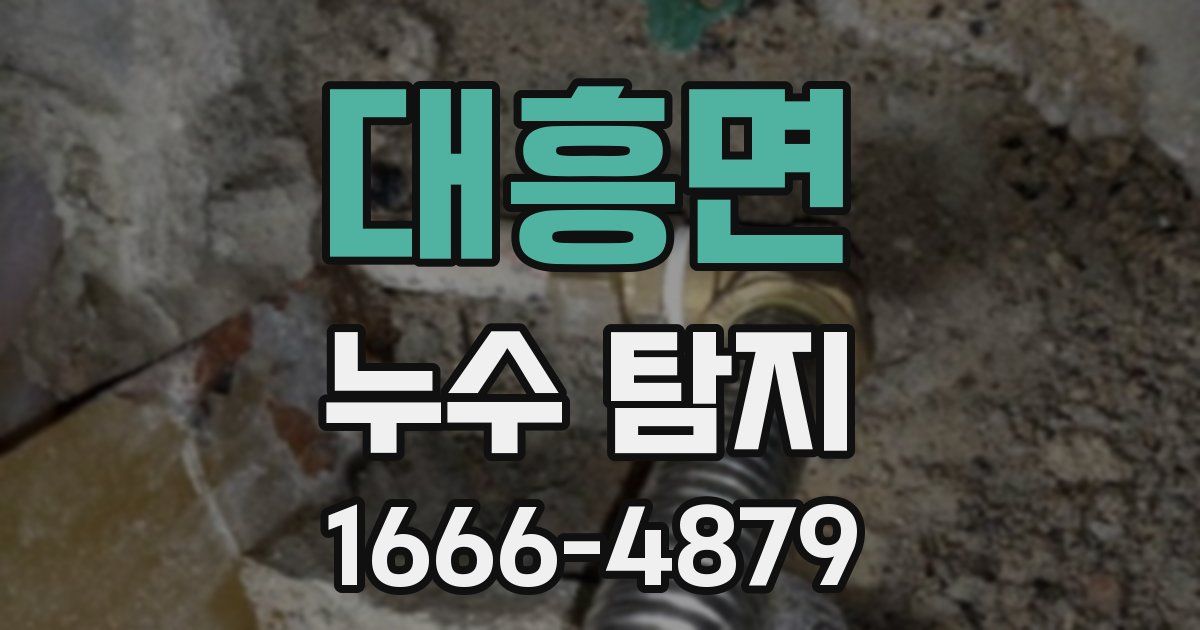 대흥면 누수 탐지