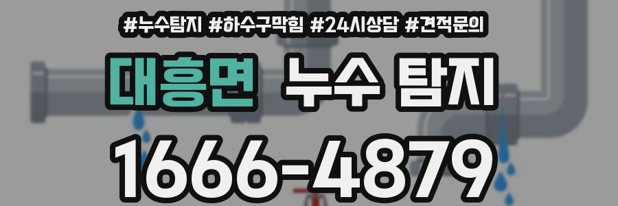 대흥면 누수 탐지
