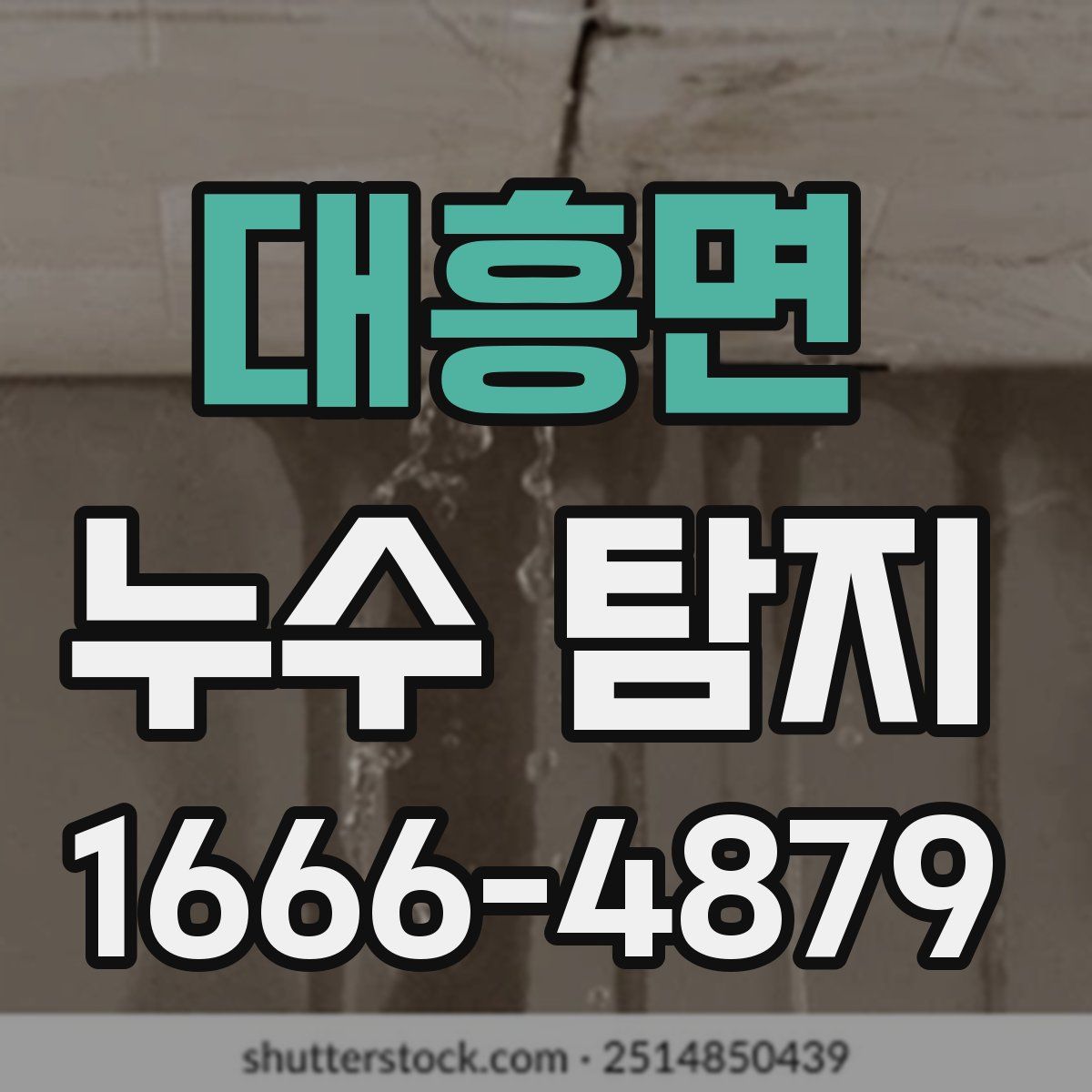 대흥면 누수 탐지