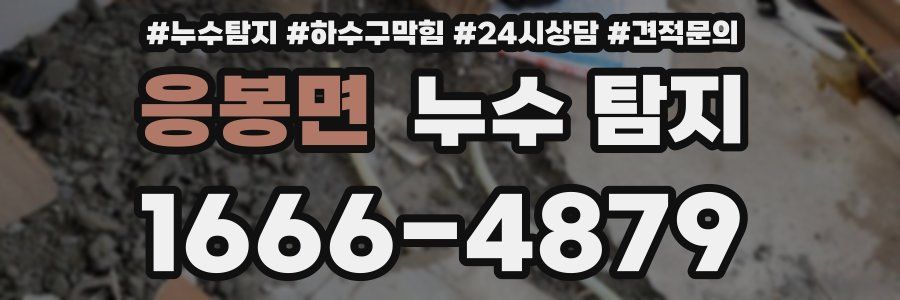 응봉면 누수 탐지
