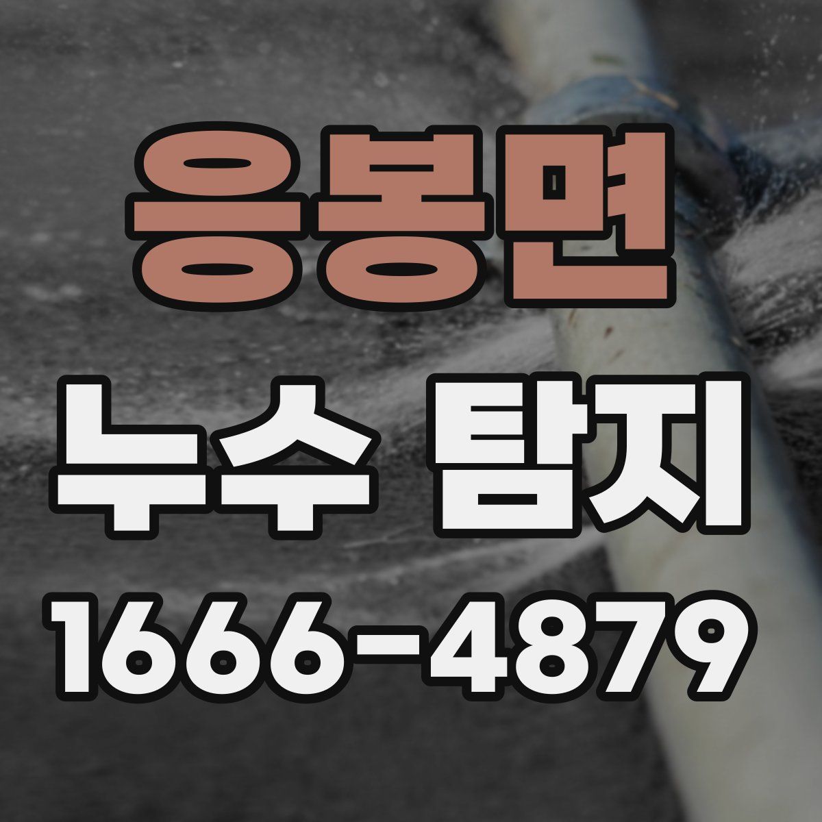 응봉면 누수 탐지