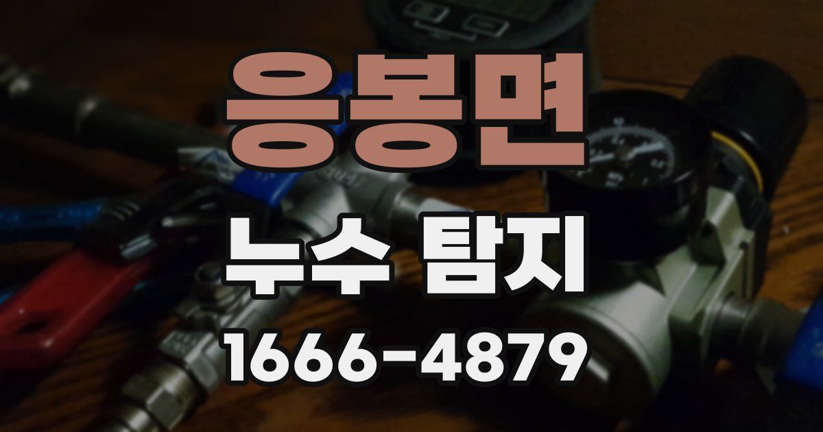 응봉면 누수 탐지