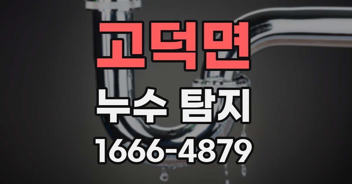 고덕면 누수 탐지