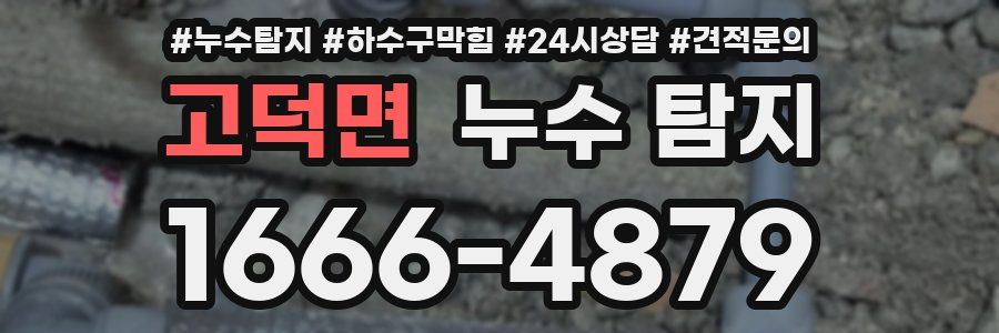고덕면 누수 탐지