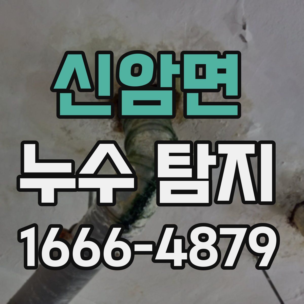 신암면 누수 탐지