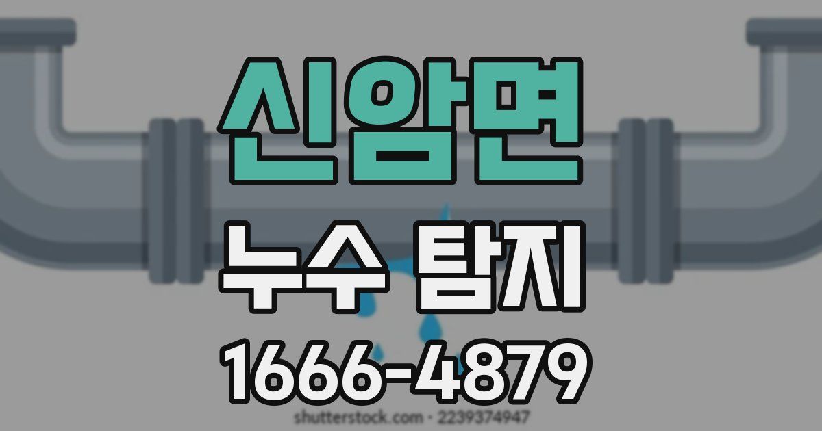 신암면 누수 탐지