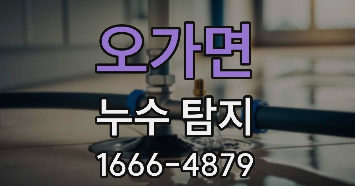 오가면 누수 탐지