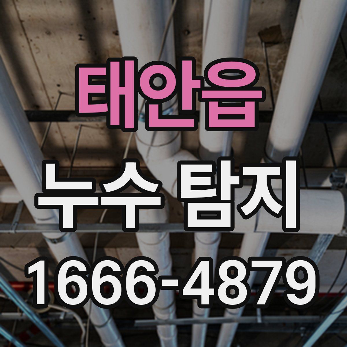 태안읍 누수 탐지