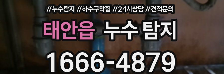 태안읍 누수 탐지
