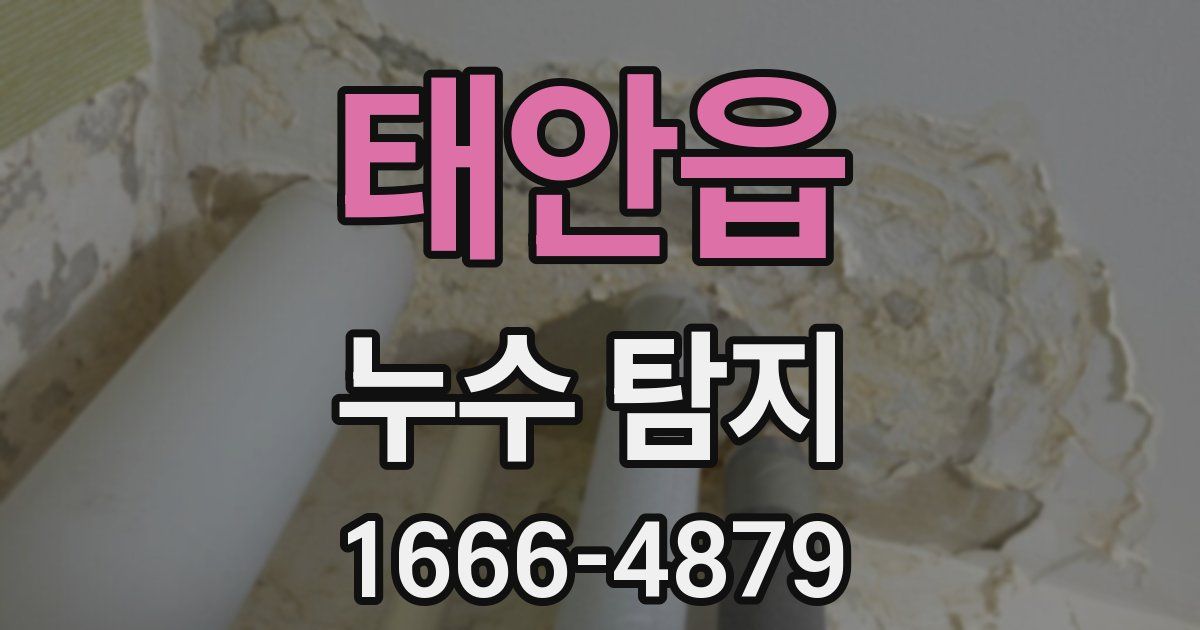 태안읍 누수 탐지