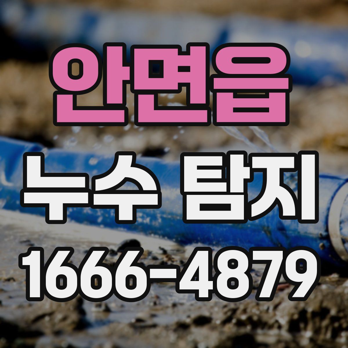 안면읍 누수 탐지